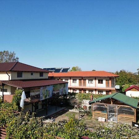 Apartament Casa Calin Vama Veche Zewnętrze zdjęcie