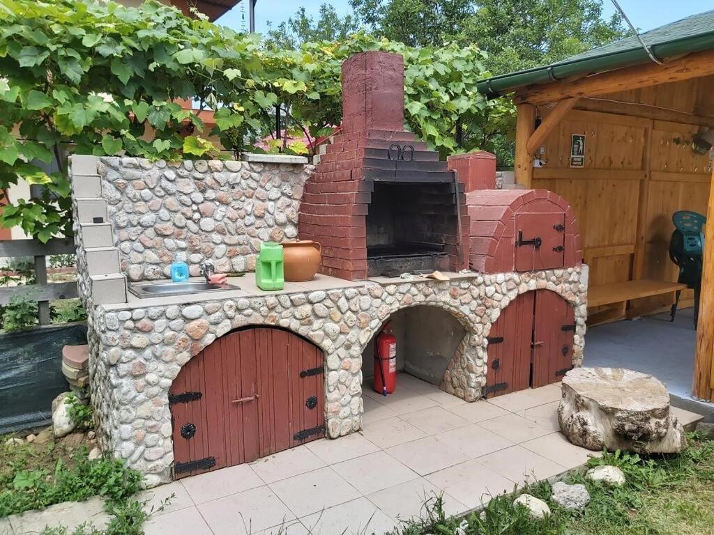 Apartament Casa Calin Vama Veche Zewnętrze zdjęcie