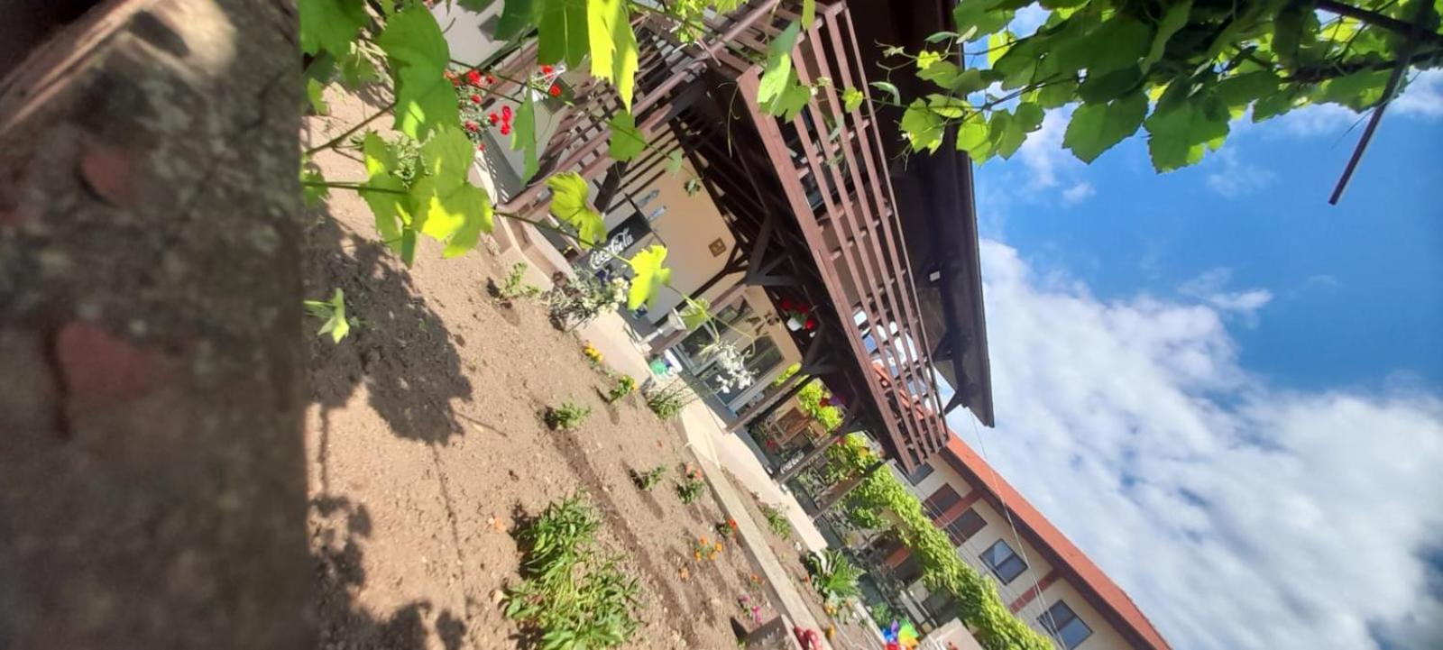 Apartament Casa Calin Vama Veche Zewnętrze zdjęcie